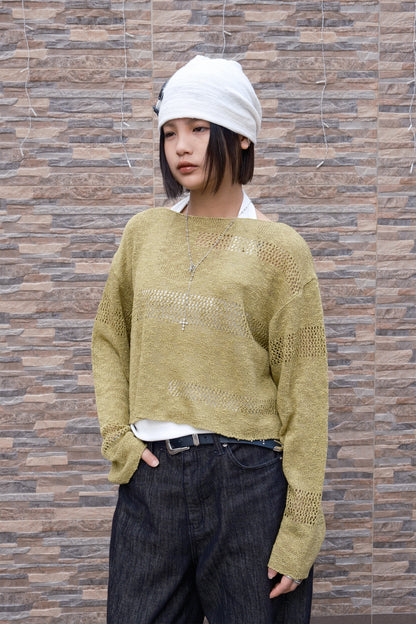 Cropped Hybrid Mesh LS